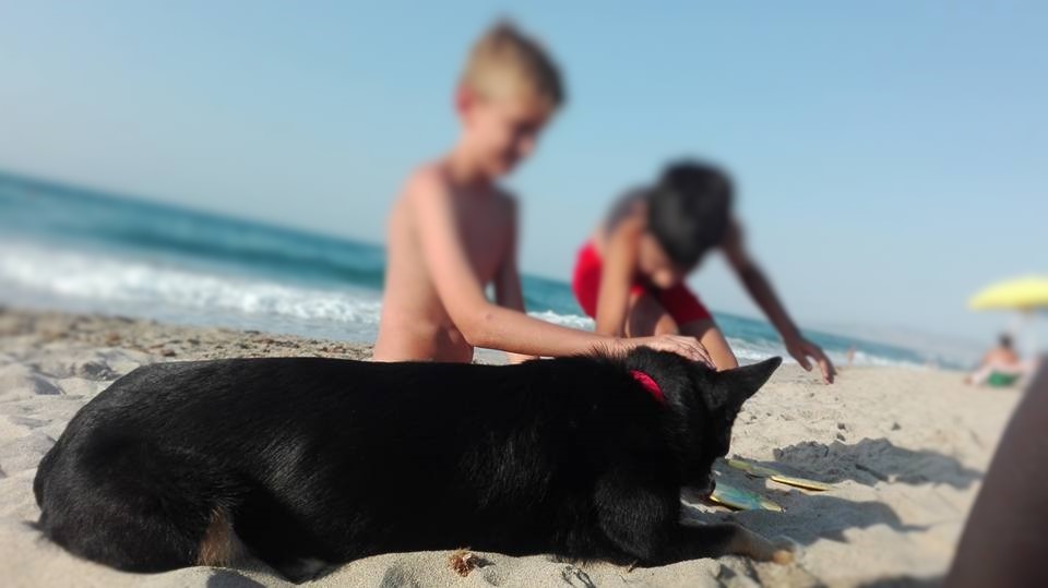 noi e il cane a Platamona